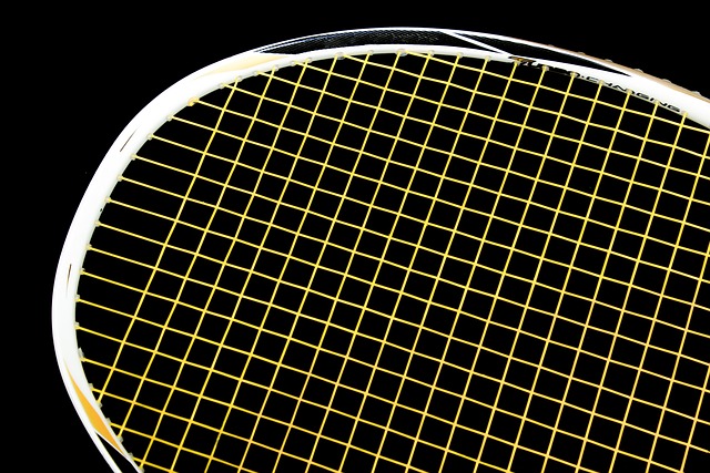 Det ultimative guide til valg af badmintonsæt - sådan finder du det bedste sæt til dit niveau