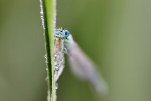 Fra traditionelt vaterpas til laservaterpas: Hvordan teknologi forbedrer præcisionen