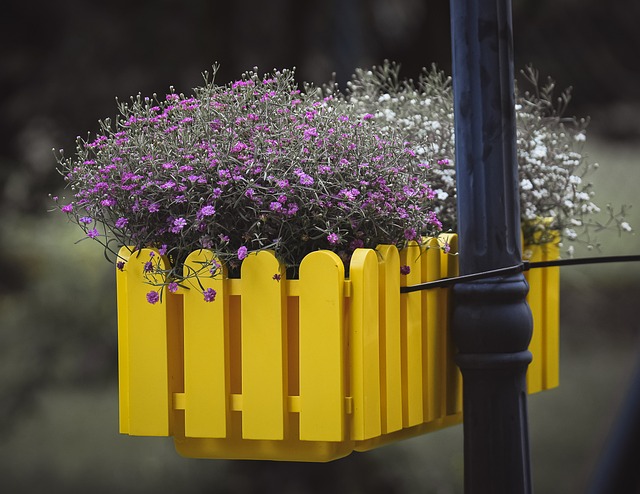 Sådan skaber du en blomstrende have med plantekasser