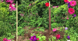 NSH's stolpespyd: En bæredygtig og miljøvenlig løsning til haveprojekter